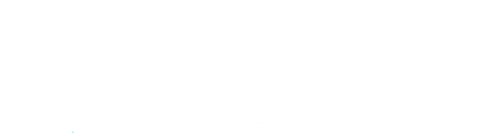 Logo Bering Soluções WEB